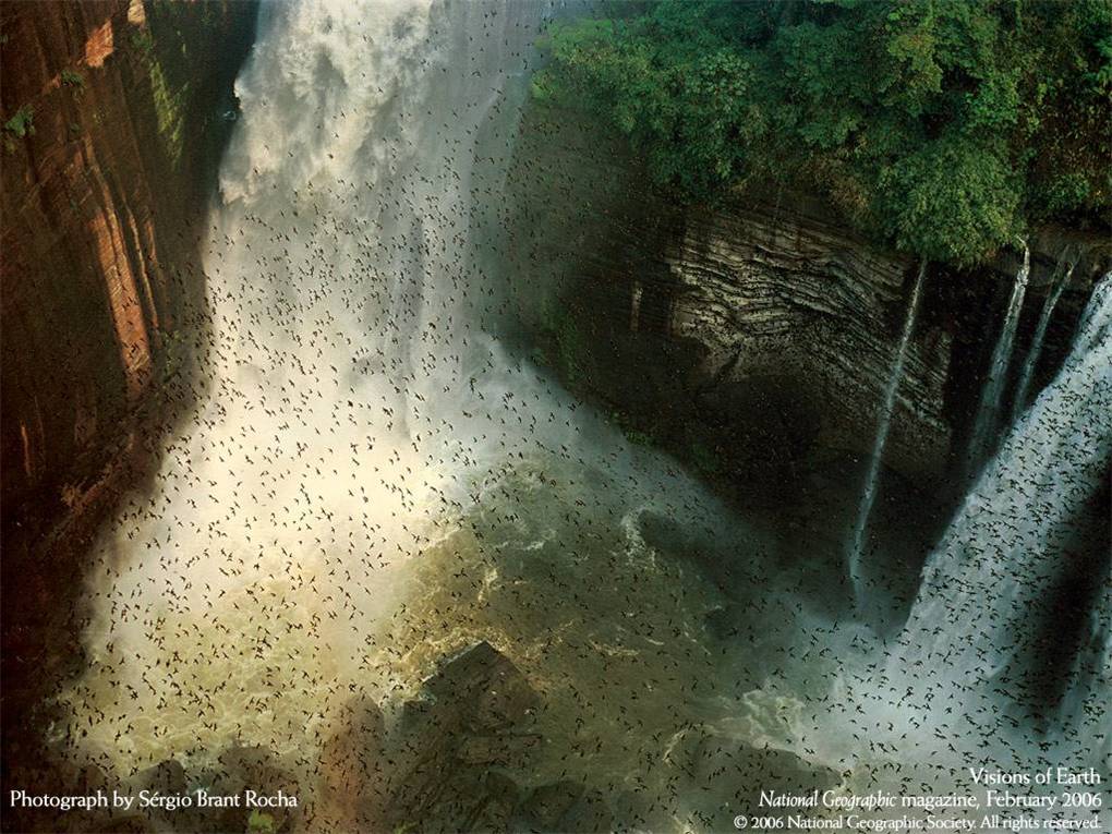   National Geographic 2006 (15 )