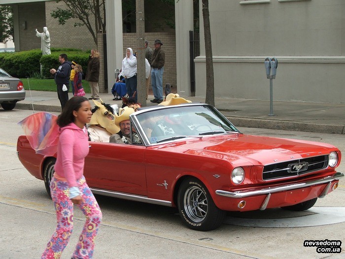 Art Car Parade 2007 (21 )