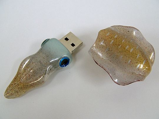 USB -   (8 )