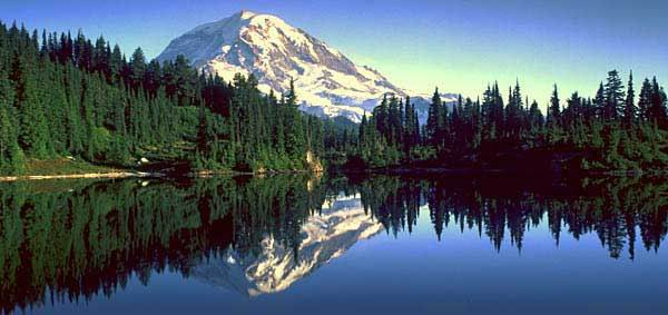 ...    ,  ,  (Mount Rainier National Park, Washington, USA).