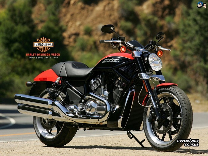    Harley Davidson (57 )
