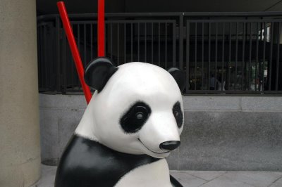 PandaMania (36 )