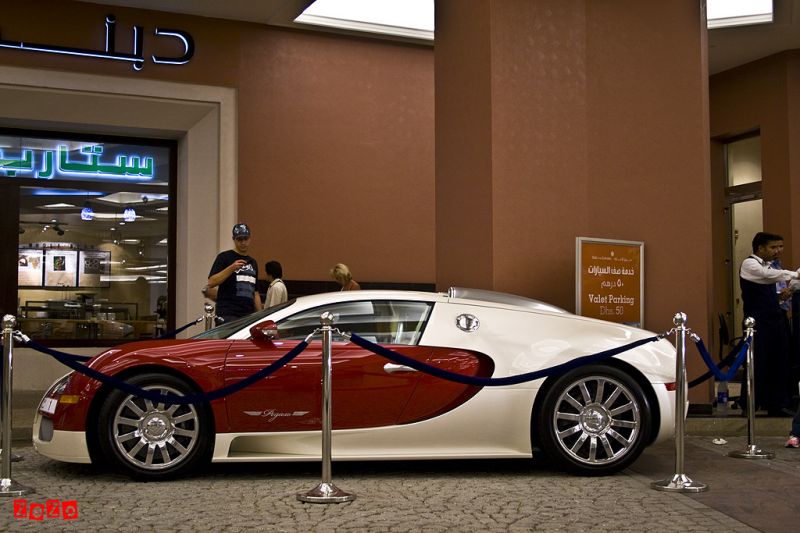  Bugatti Veyron (29 )