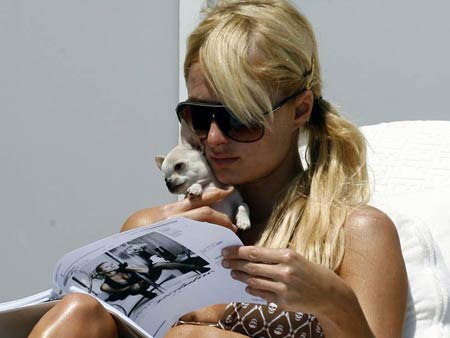 Paris Hilton (57 )