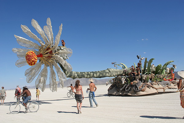 Burning Man,  2 (42 )