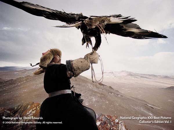  National Geographic (14 )