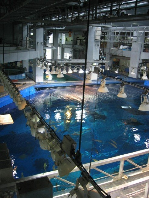 Okinawa Churaumi Aquarium -    (66 )