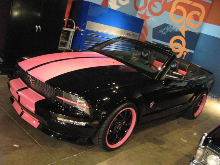 Galpin Warriors Pink Mustang