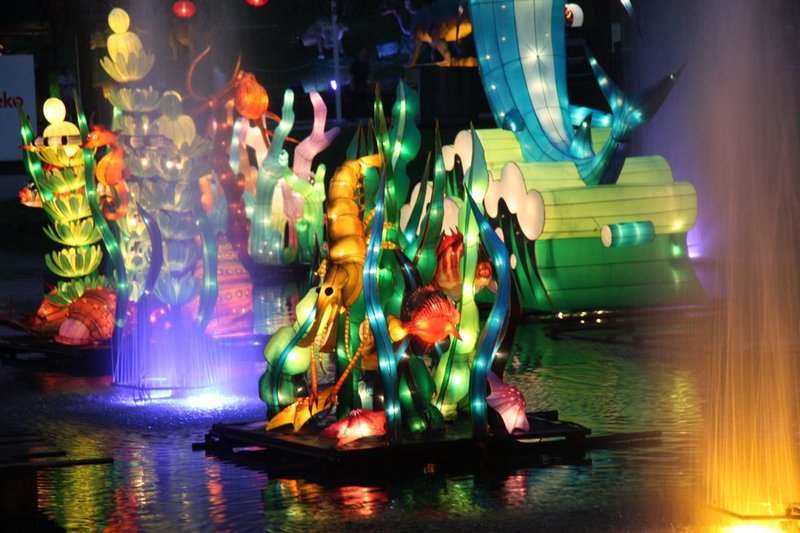 Chinese Lantern Festival (51 )
