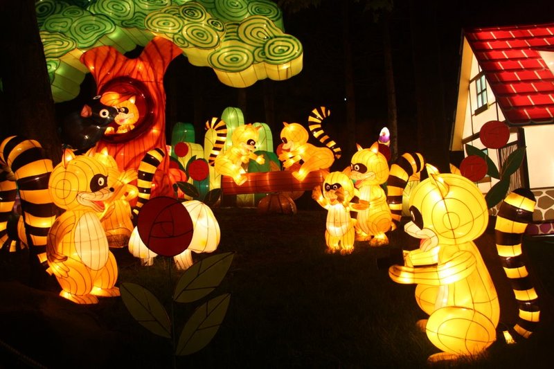 Chinese Lantern Festival (51 )