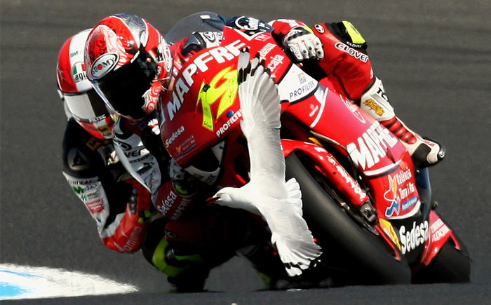 2008 Australian motorcycle Grand Prix(23 ), photo:1