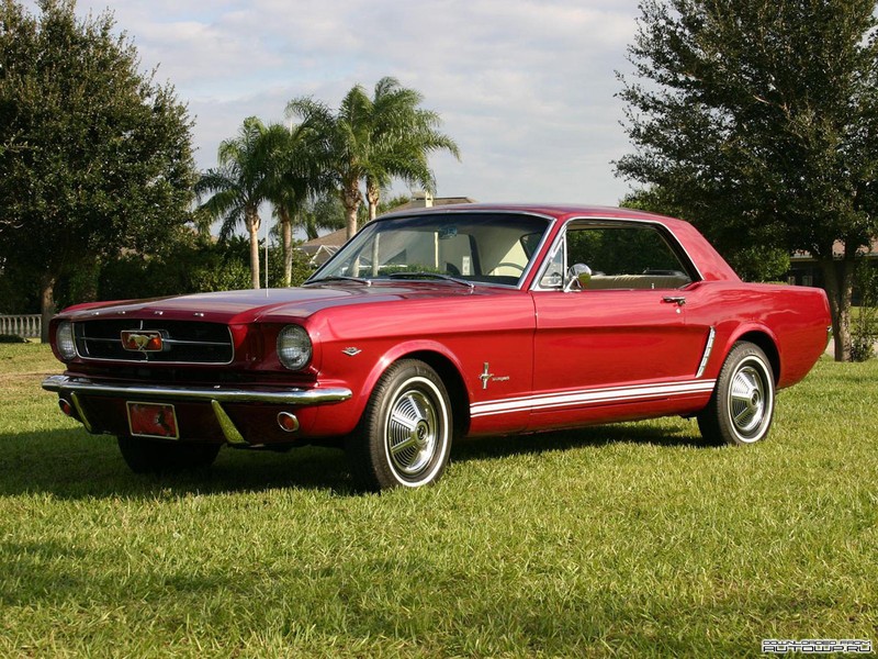 Ford Mustang (73 )