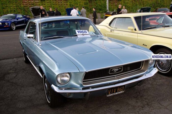 mustang_28_11_1.jpg