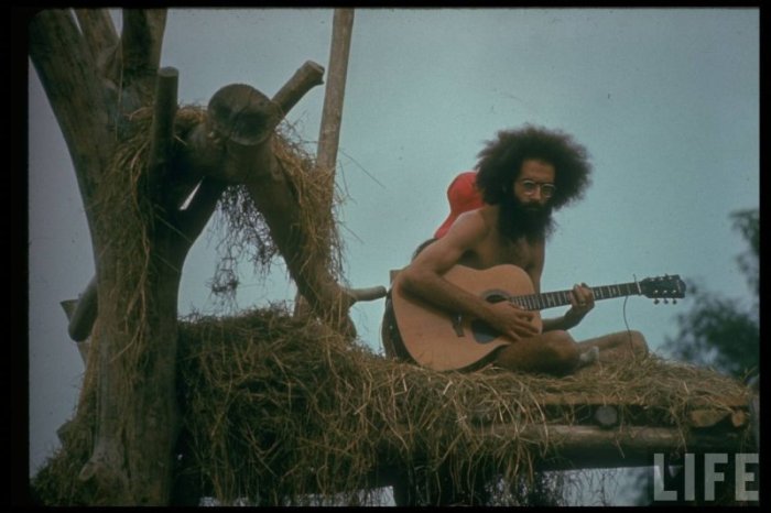 Woodstock 1969 (52 ), photo:1