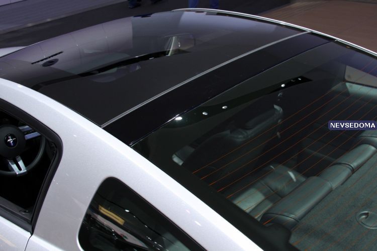 Ford Mustang Glass Roof
