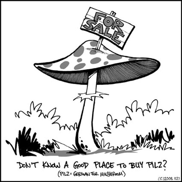 Don't know a good place to buy pilz?