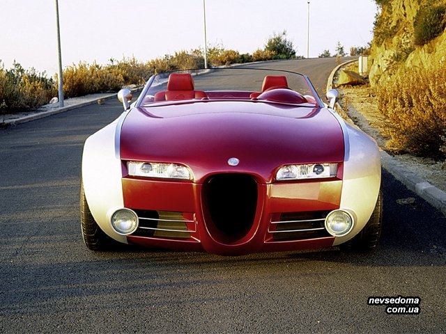   Bugatti (7 )