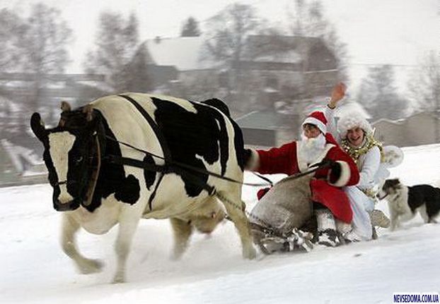 Дед Мороз - Позитивная фотоподборка (47 фото)