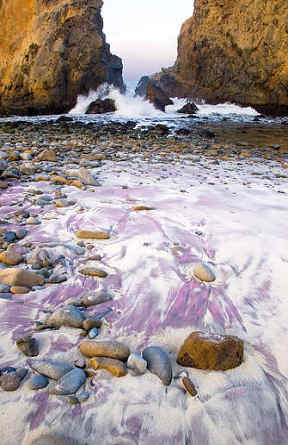 Purple Sand Beach california big sur