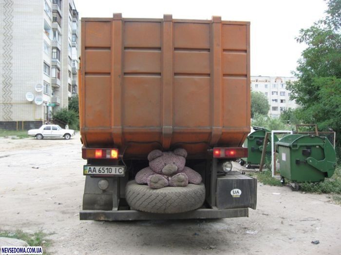 Прикольные картинки Прикольные картинки