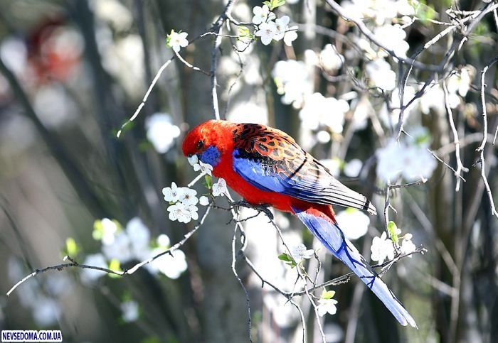 Прикольные картинки Прикольные картинки