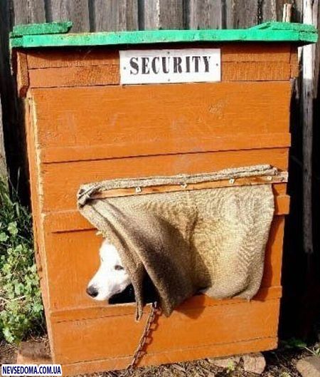 Прикольные картинки Прикольные картинки