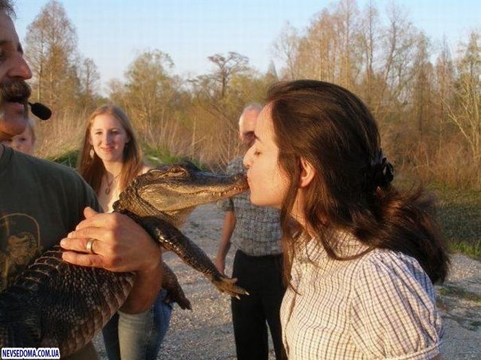 Прикольные картинки Прикольные картинки