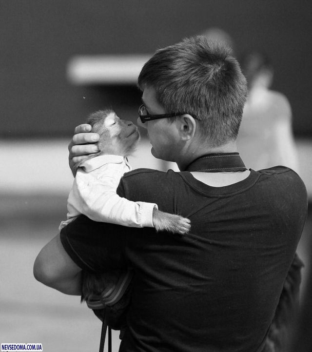 Прикольные картинки Прикольные картинки