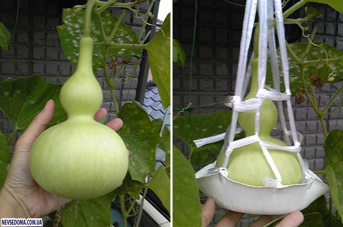 Прикольные картинки Прикольные картинки