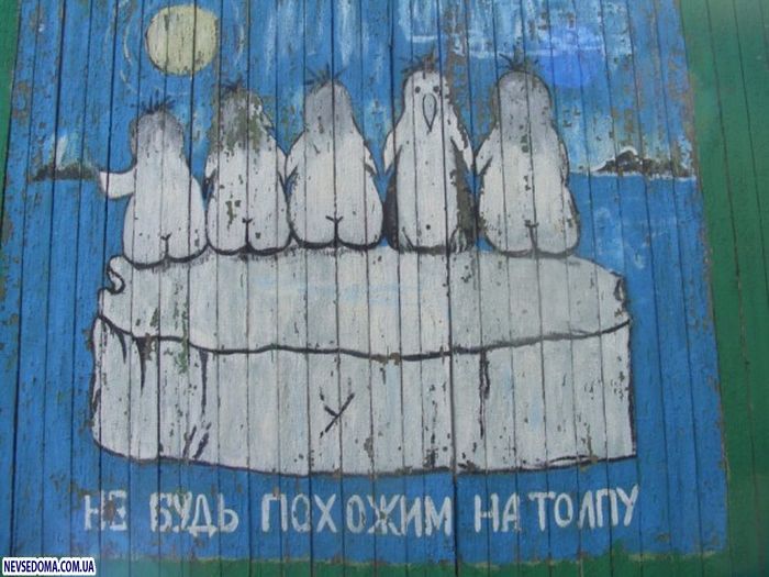 Прикольные картинки Прикольные картинки