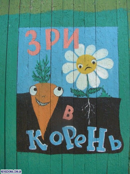 Прикольные картинки Прикольные картинки