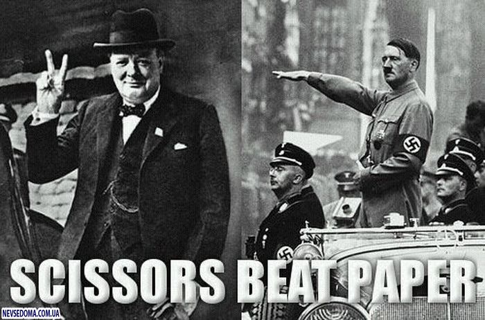 Прикольные картинки Прикольные картинки