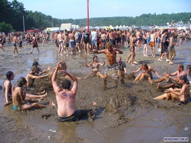 Woodstock   (39 )