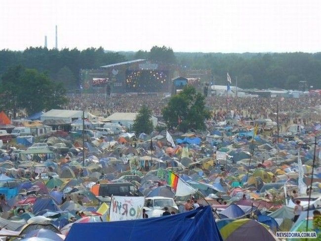 Woodstock   (39 )