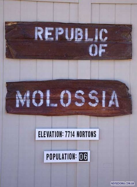 Molossia -    (15 ), photo:15
