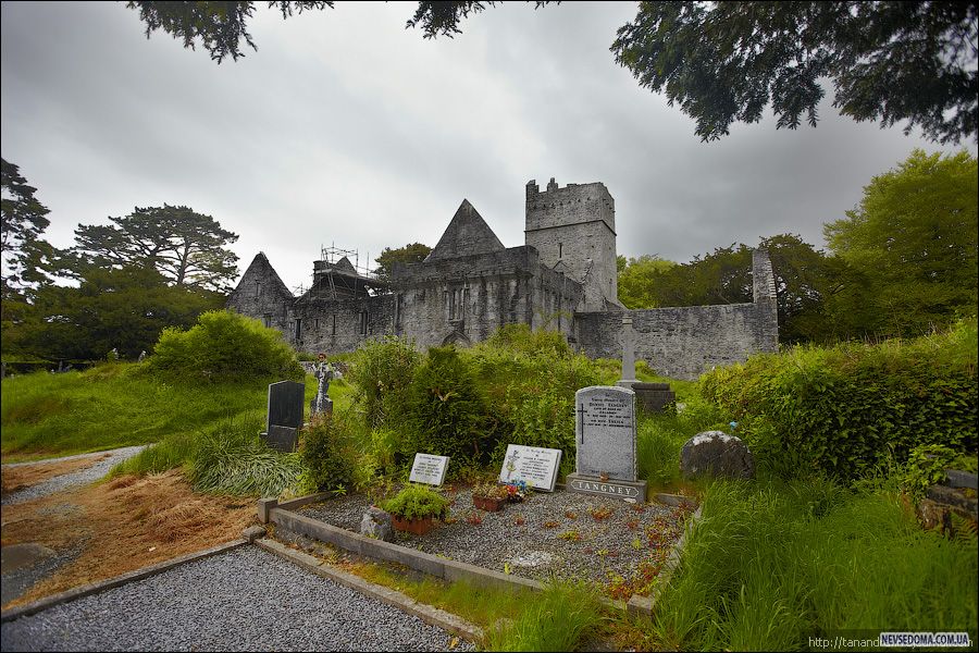 14)   (Muckross Abbey)     1,5 .