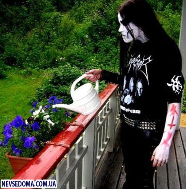 Black Metal,  ,  (254 ,   )