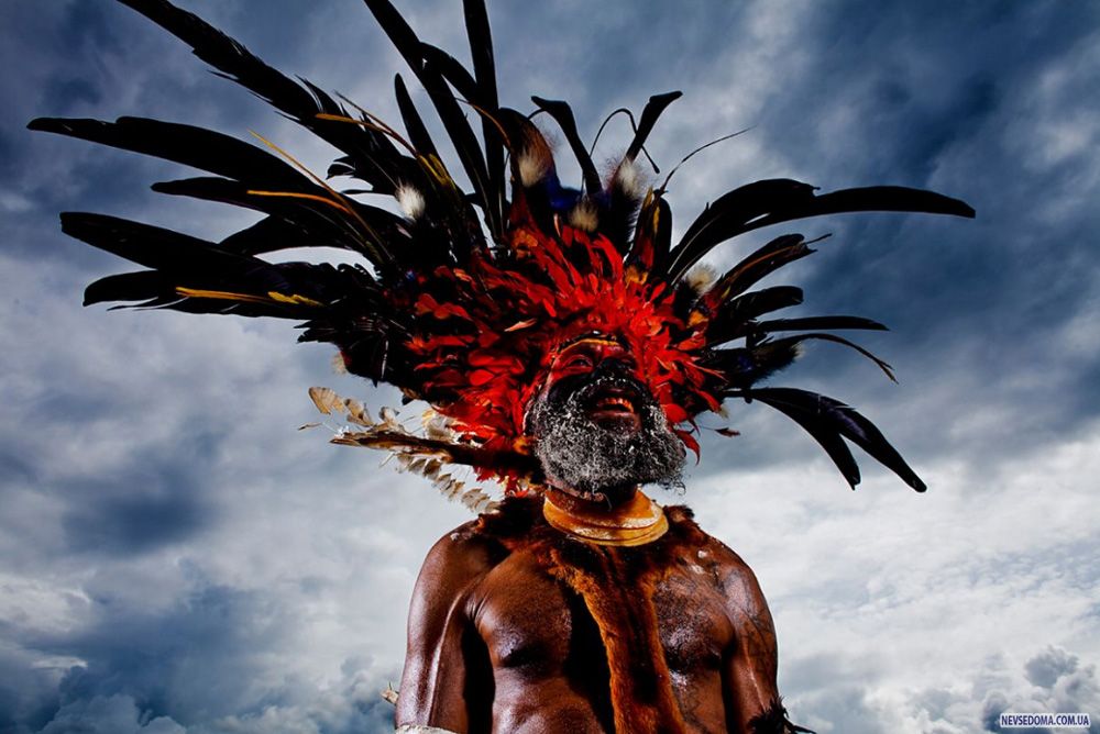 1.      ,   , 18  2008 .      ,   –    -,   ,  ,    . (Brent Stirton/Getty Images)