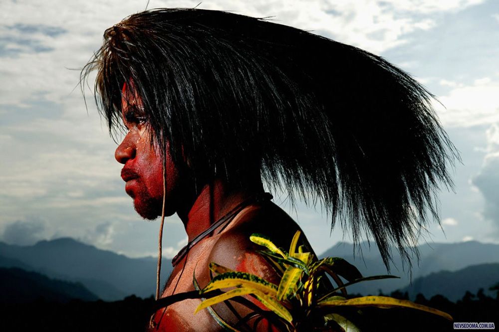 7.     –     .    -        . (Brent Stirton/Getty Images)