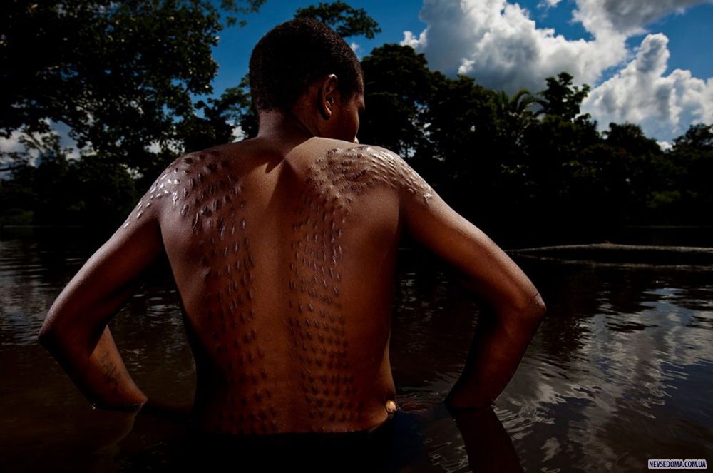8.      15  2009 . (Brent Stirton/Getty Images)