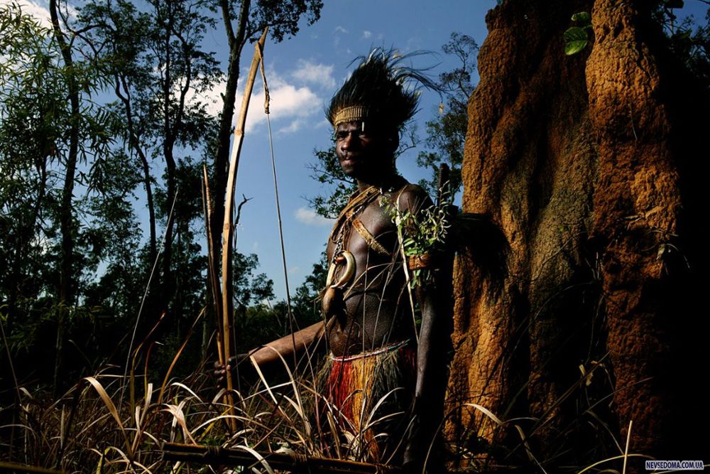 11.      –     ,           . (Brent Stirton/Getty Images)