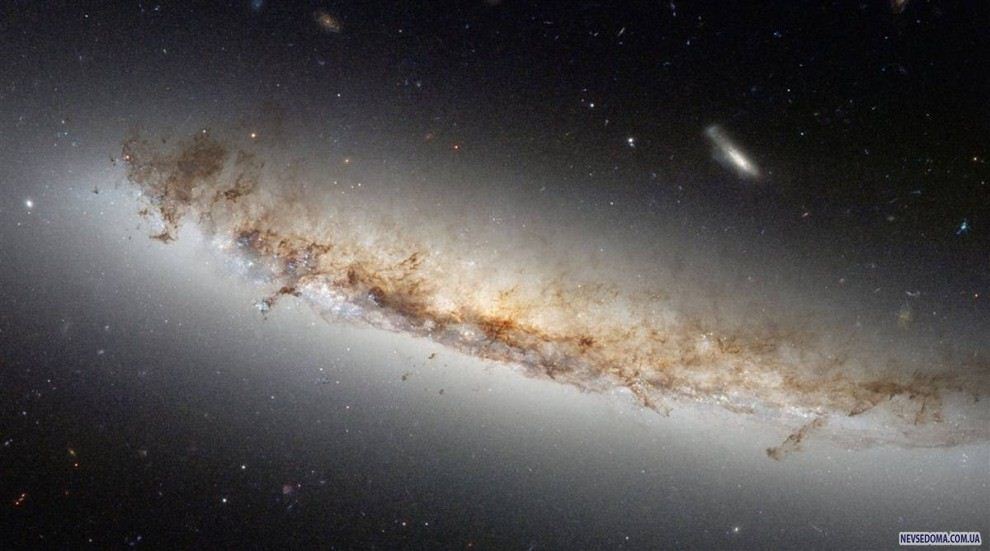 4.     NGC 4402               .       .      «»  2007    30 . (NASA / ESA)