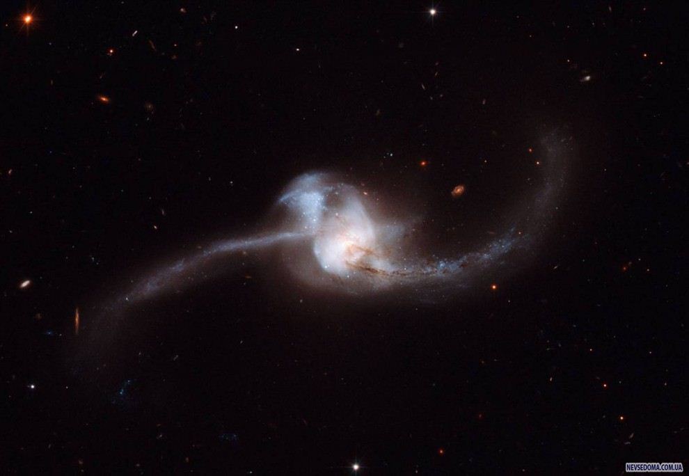 19.   ,    «»,    ,     , ,  NGC 2623. ,   ,   2007 ,   13 . (A. Evans / Stony Brook University / NASA / ESA)