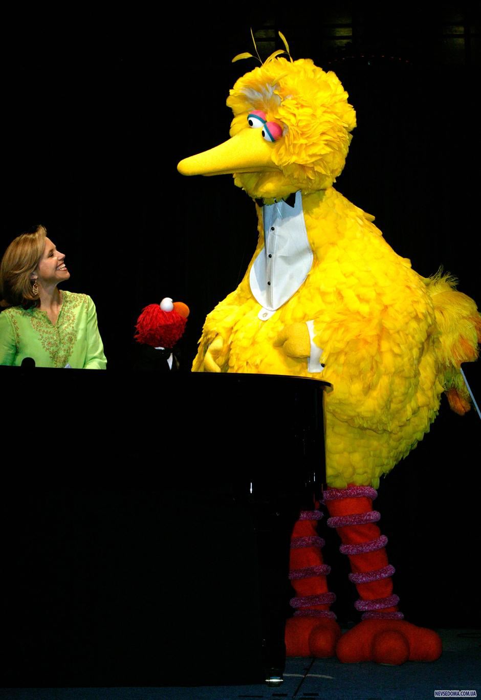 24. 4  2003:    ,      -   35-  «Sesame Street Workshop»  -.