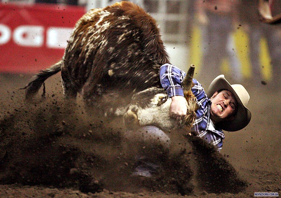 1)  ,    ,      2009 Canadian Finals Rodeo  . (Jason Franson/The Canadian Press/Edmonton Sun via Associated Press) 