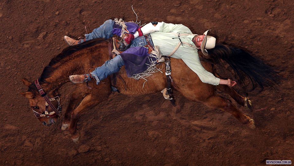 10.      «World's Toughest Rodeo» 6   , . (Christian Petersen/Getty Images) 