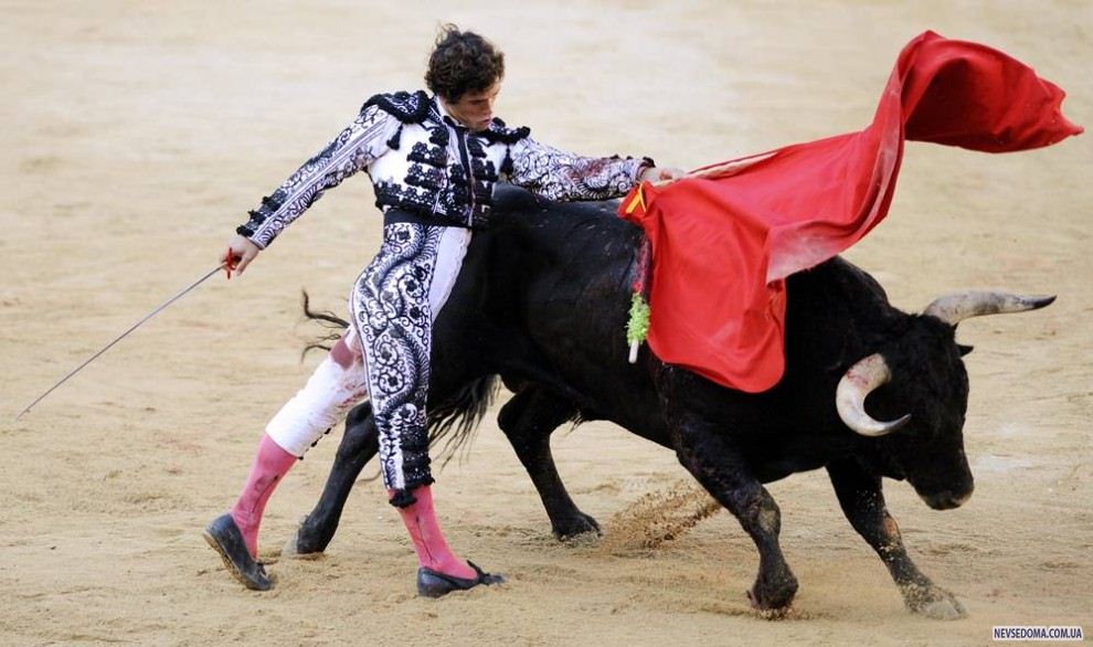 9.          ( )        2008  . (Rafa Rivas / AFP - Getty Images)