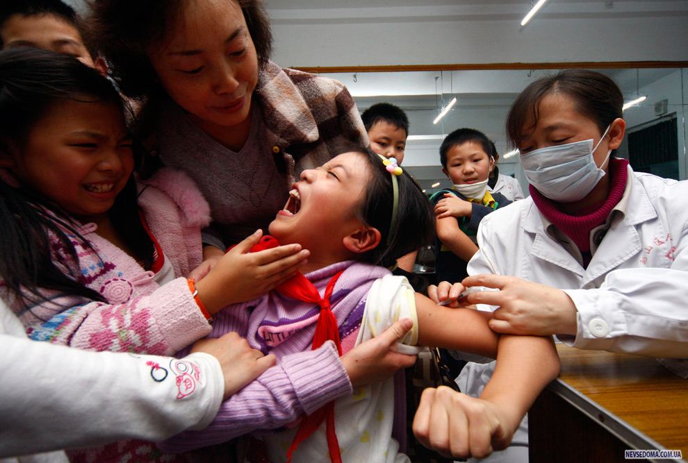 11.      H1N1    ,  , , 11  2009 .     ,           ,         ,     . (REUTERS/Stringer)