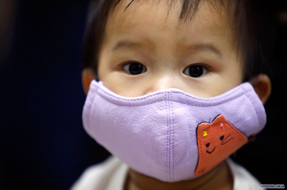17.            , , 9  2009 .          H1N1      6   . (REUTERS/Nicky Loh)