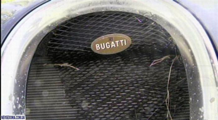   Bugatti Veyron (18 )
